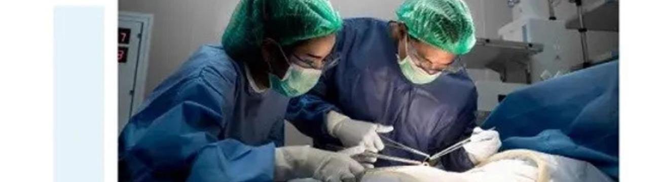 gynae onco surgeon